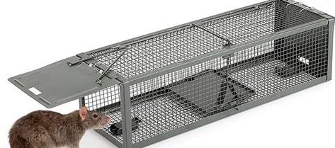Trampa de captura para ratas